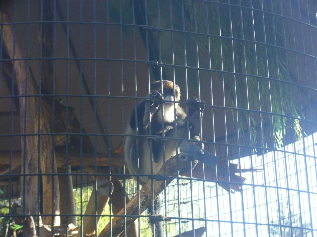 Alexandr Oseev | Magdeburg