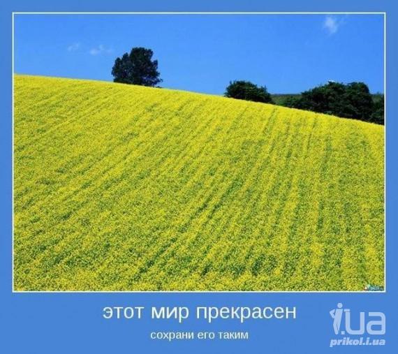 Костя Сиротенко | Кременчуг