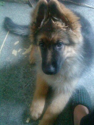 №24, Елена Яризова, Санкт-Петербург №24, Елена Яризова, Санкт-Петербург