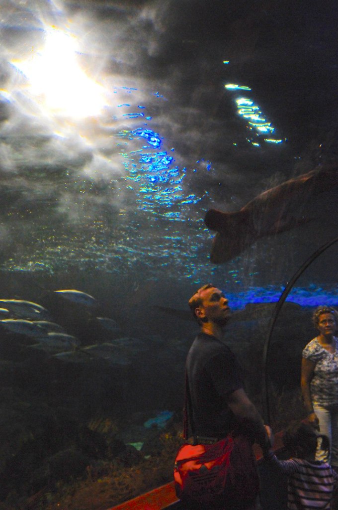 Varvara Sannikova потенциальный гений | Москва