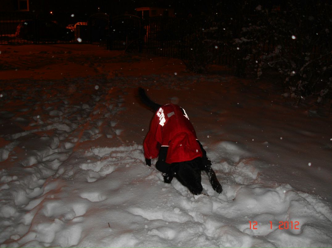 Борис Розенблюм | Санкт-Петербург