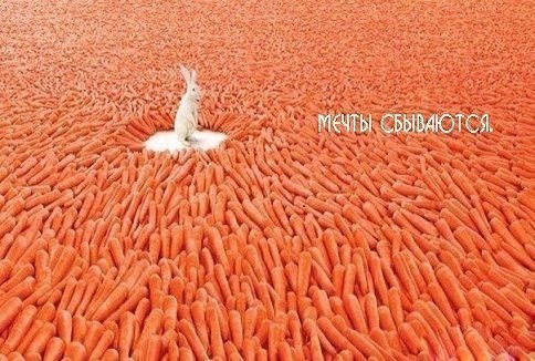 Дима Линник | London