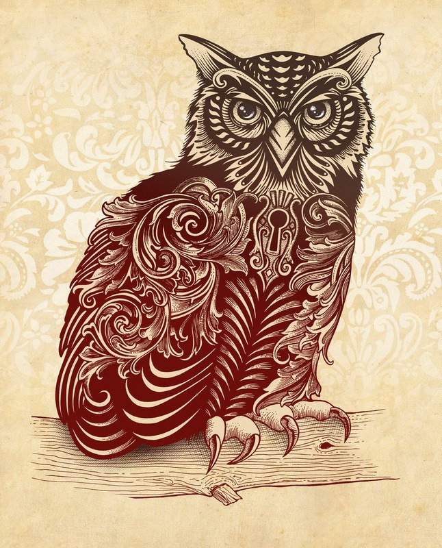 Александр Северухин | Тюмень