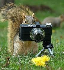 Антон Митрофанов | Чернушка