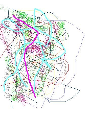 Владимир Милокост | Калининград