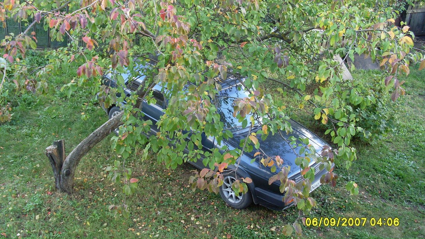 Михаил Залещиков | Киров