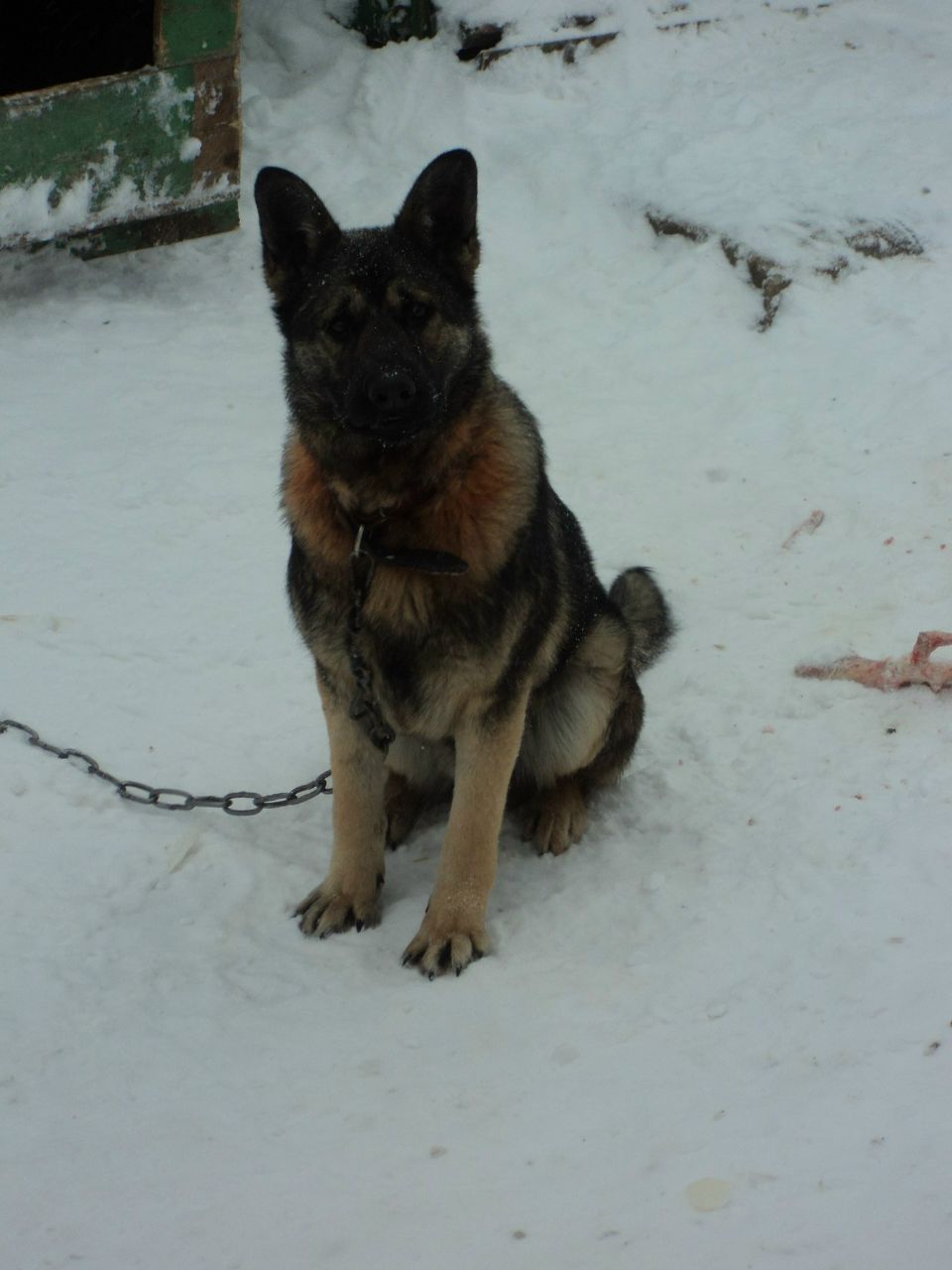 Зульфат Сиразиев | Казань