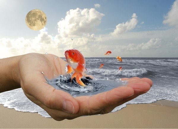 №55, Анна Дегтярева №55, Анна Дегтярева