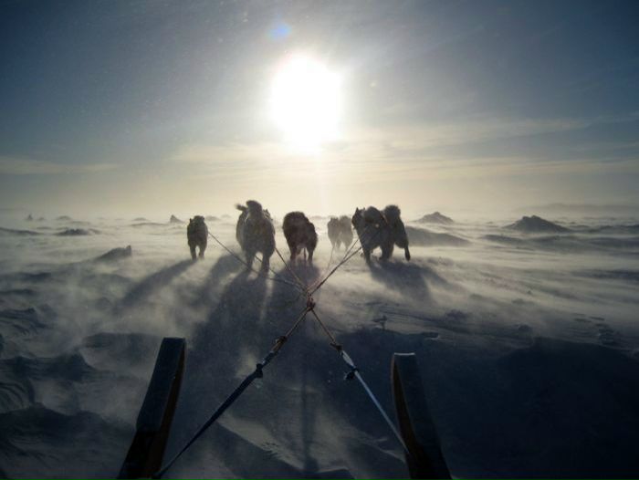 №89, Бэталик Парыгин, Днепр (Днепропетровск) №89, Бэталик Парыгин, Днепр (Днепропетровск)