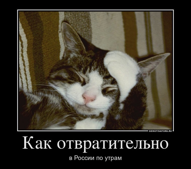 Дмитрий Тыртычный | Крымск