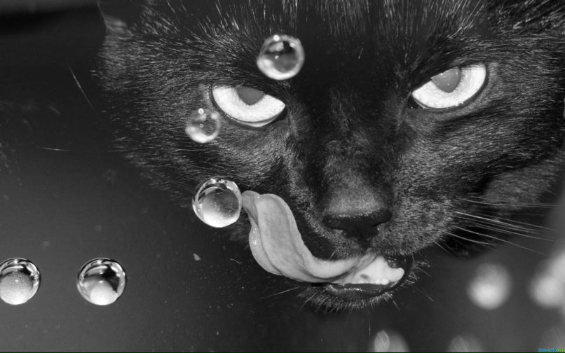 Евгения Шуваева | Екатеринбург