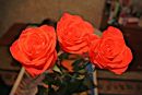 №7 Дарья Вертипрахова 04.02.1989: профиль, фото, статус - ВКонтакте