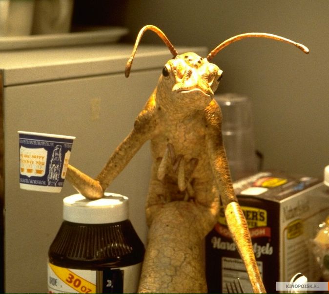 №10, Libor Podmol №10, Libor Podmol