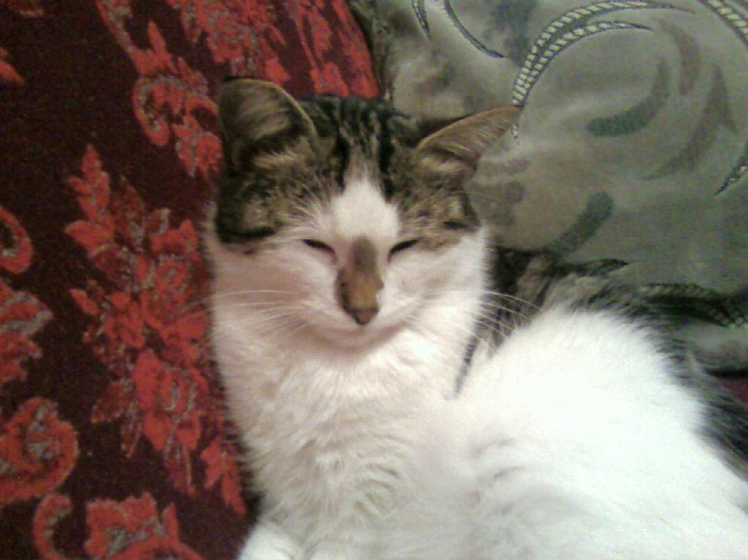 Виталий Петров ★★ ★Vitas★★ ★ | Евпатория