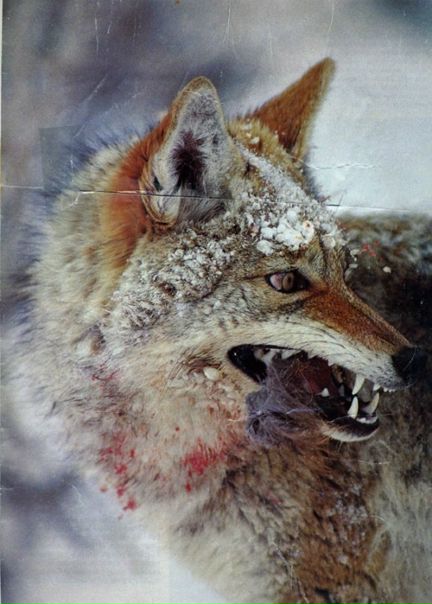 №90, Настя Андресонова №90, Настя Андресонова