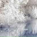 Людмила Максименкова | Санкт-Петербург