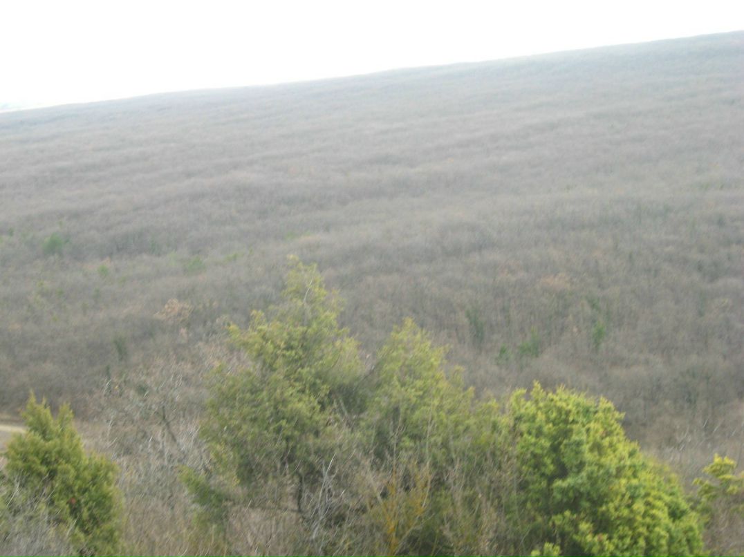 Віктор Мацеха Вікторович | Львов