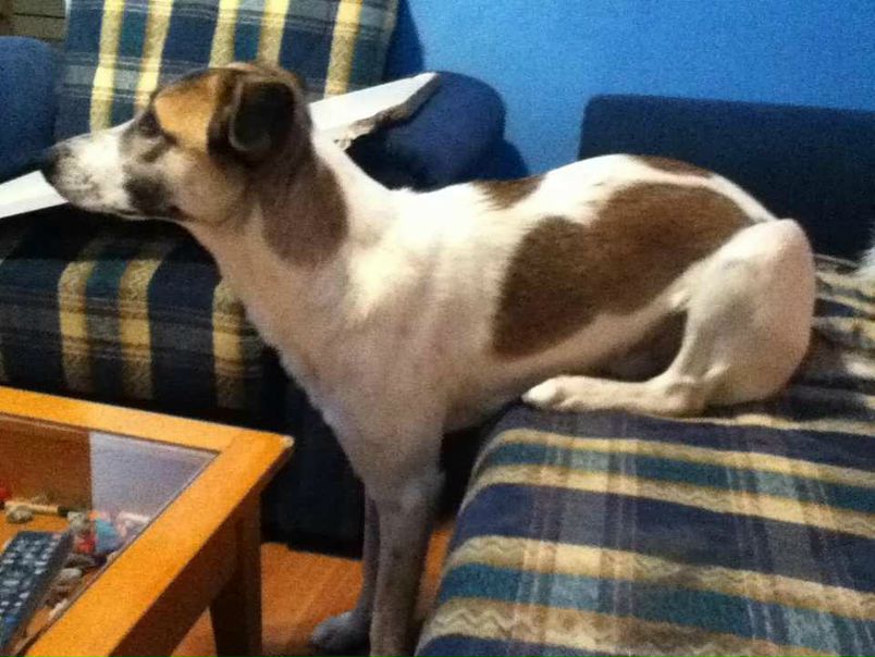 №95, Анна Фишман, Иерусалим №95, Анна Фишман, Иерусалим