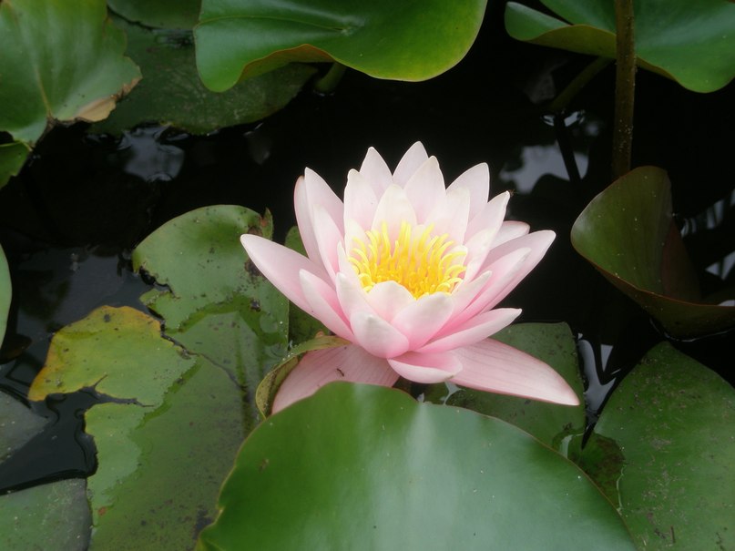 Сергей Карвель | Сургут