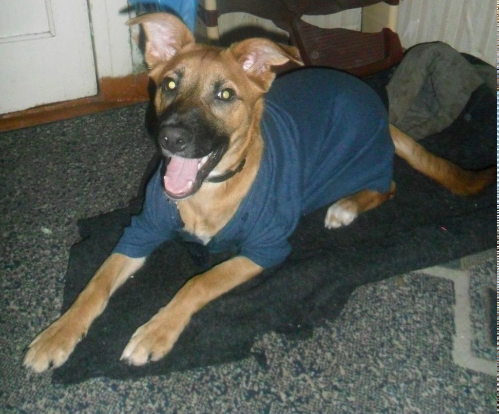 Евгений Яценюк !!!!! | Горловка