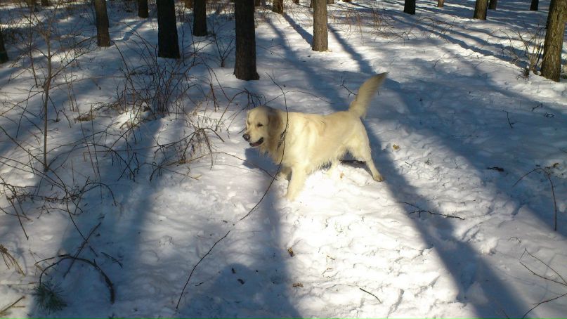 Оля Федорова | Киев