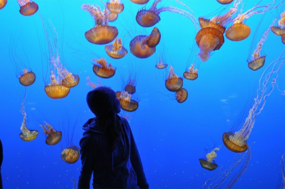 №54, Нана Матюшева, Москва №54, Нана Матюшева, Москва