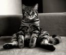 Фотография Дмитрий Антипин