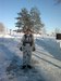 Витя Лисичкин фотография #23
