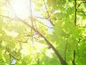 Настя Доморацкая | Новодвинск