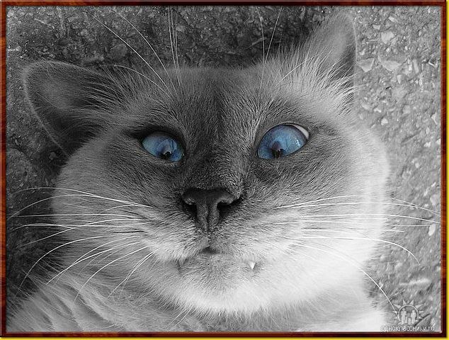 Марк Агеев | Тула (поселок)