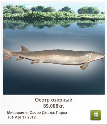 Иван Гусейнов | Санкт-Петербург