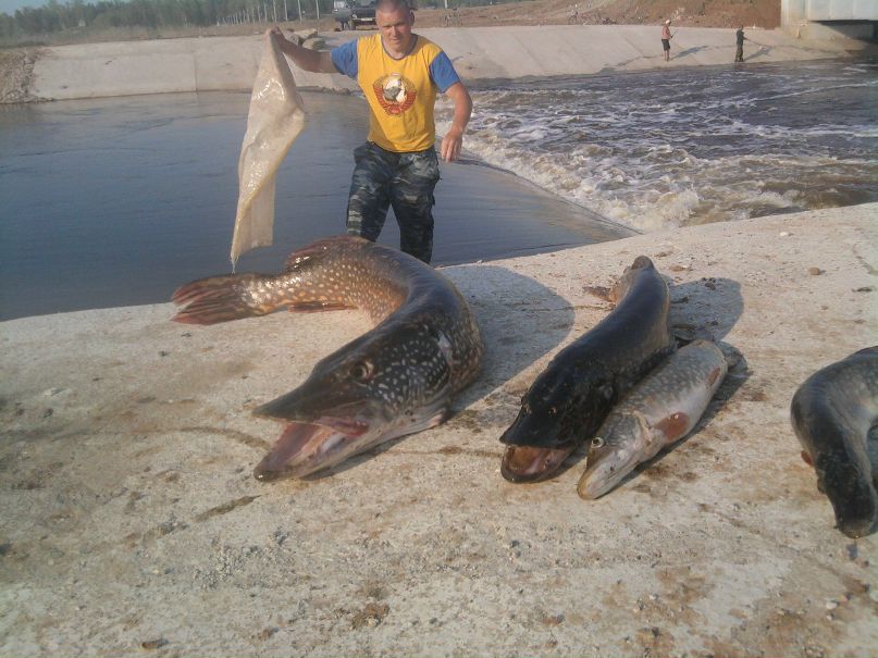 Герман Трапезников | Пермь