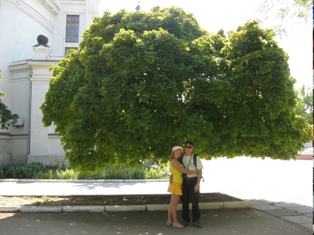 Людмила Сулимова | Киров