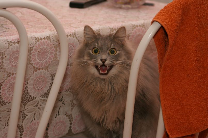 Сергей Пономарев Алексеевич | Брянск