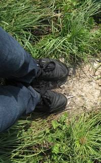 Варвара Мустафина | Пермь