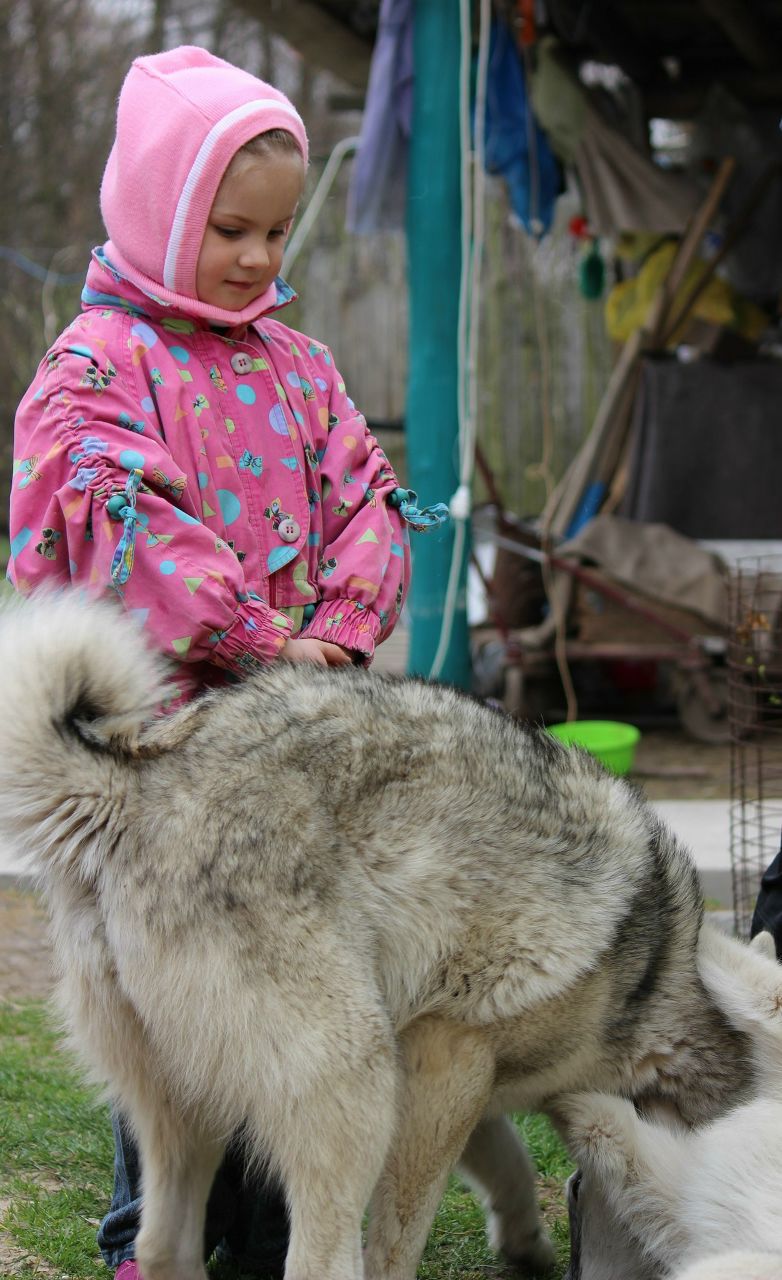 Наталья Синозацкая | Киев