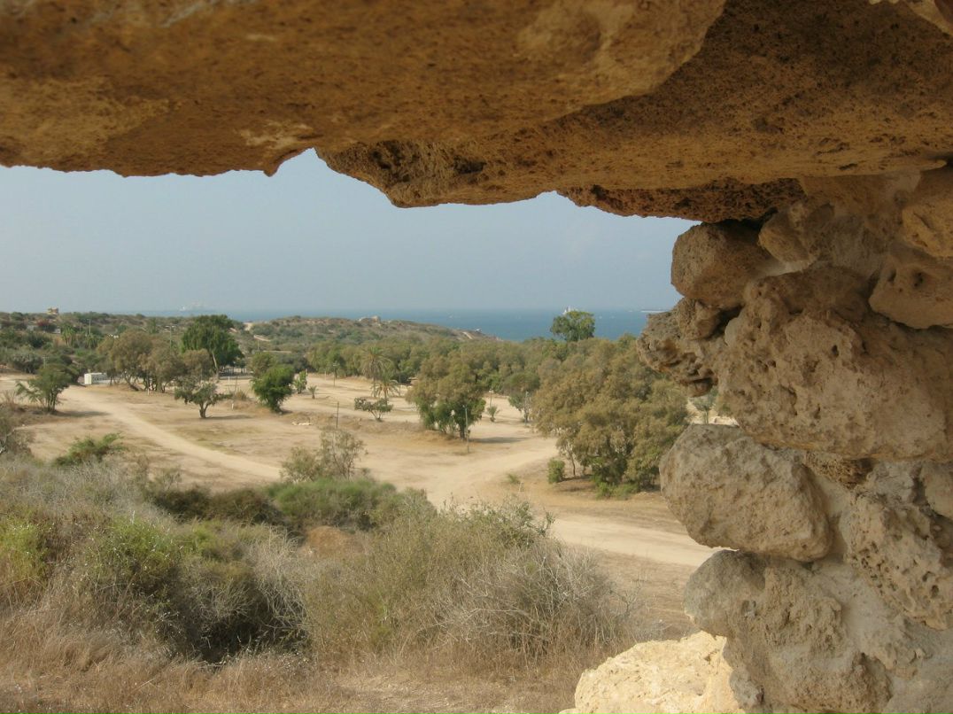 Светлана Фадеева | Калининград