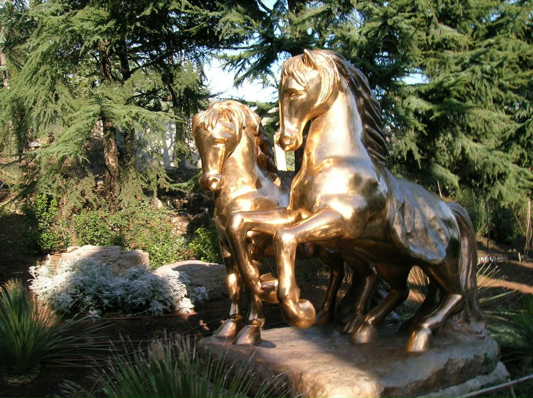 Ольга Кияшко | Краснодар