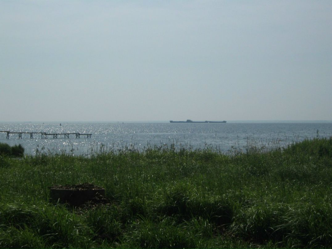 Юрий Васильев | Санкт-Петербург