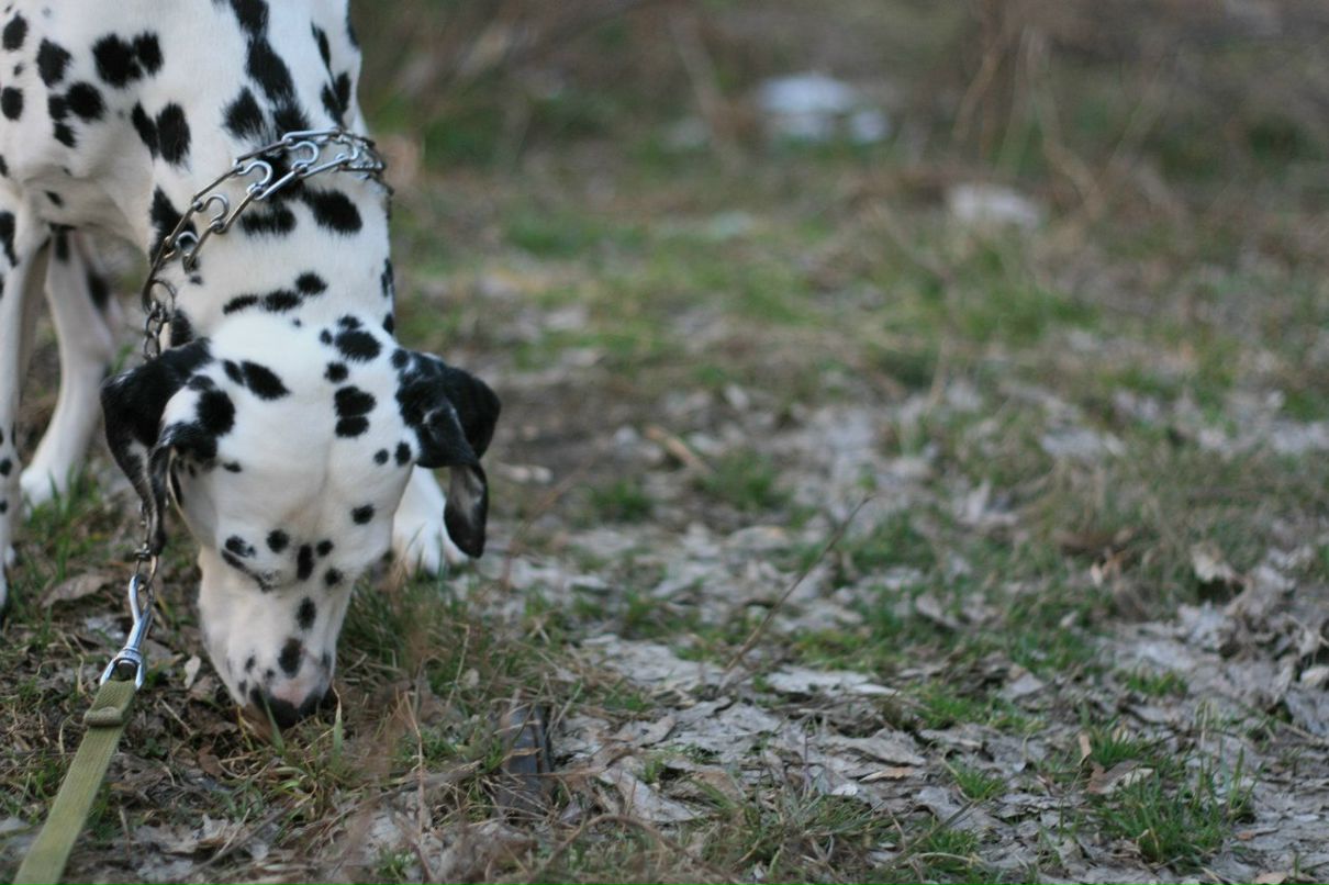 Славик Аджигитов | Москва