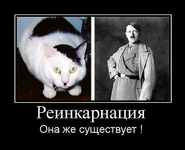 рекурсия этот как знать как проходить игру, но ты переигрываешь с какого-то моме