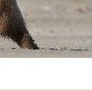 Анастасия Подвиженко | Москва