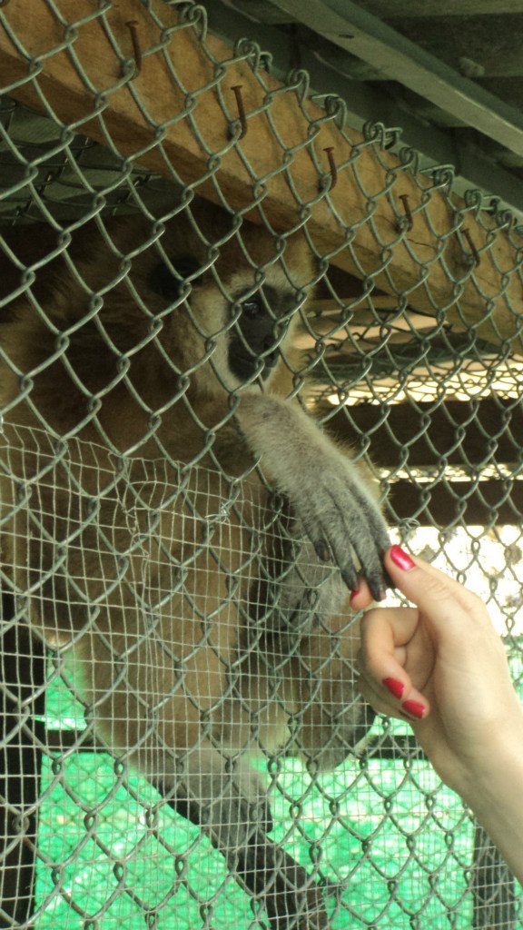 Ekaterina Raeva | Новороссийск