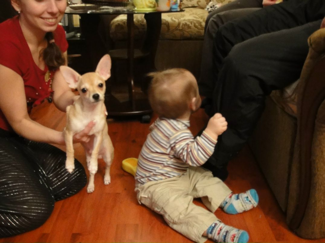 Татьяна Попова | Мытищи