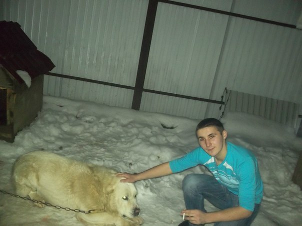 Вася Рокосов | 