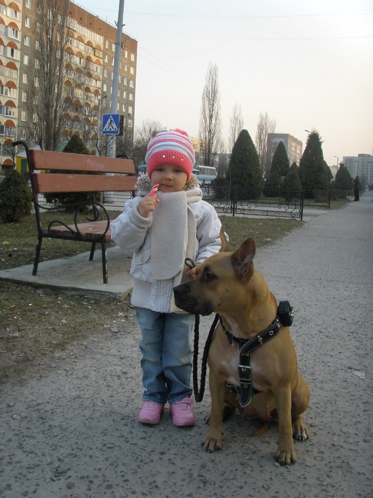 Анастасія Стріла | Вараш / Кузнецовск