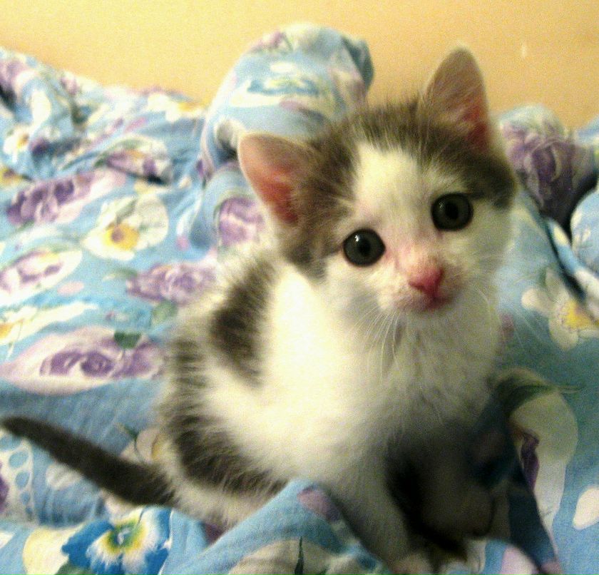 Алина Шамаева | Ижевск