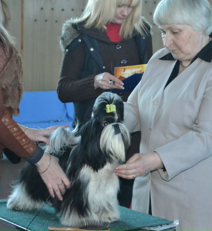 Оля Фартушна | Кривой Рог