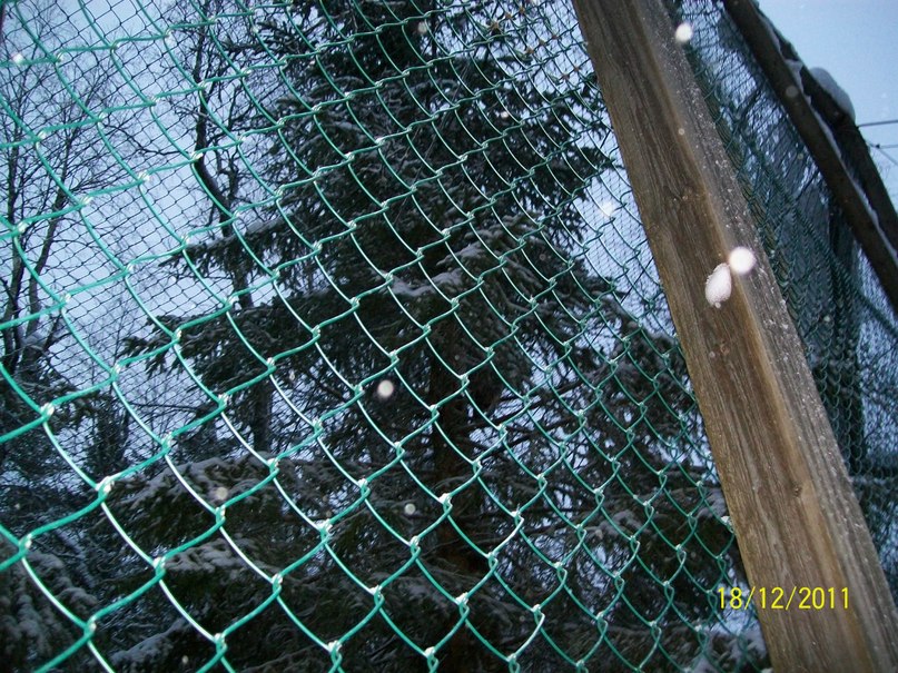 Алина Ескина *без подруги не как* | Костомукша