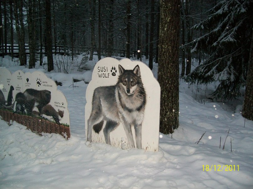 Алина Ескина *без подруги не как* | Костомукша